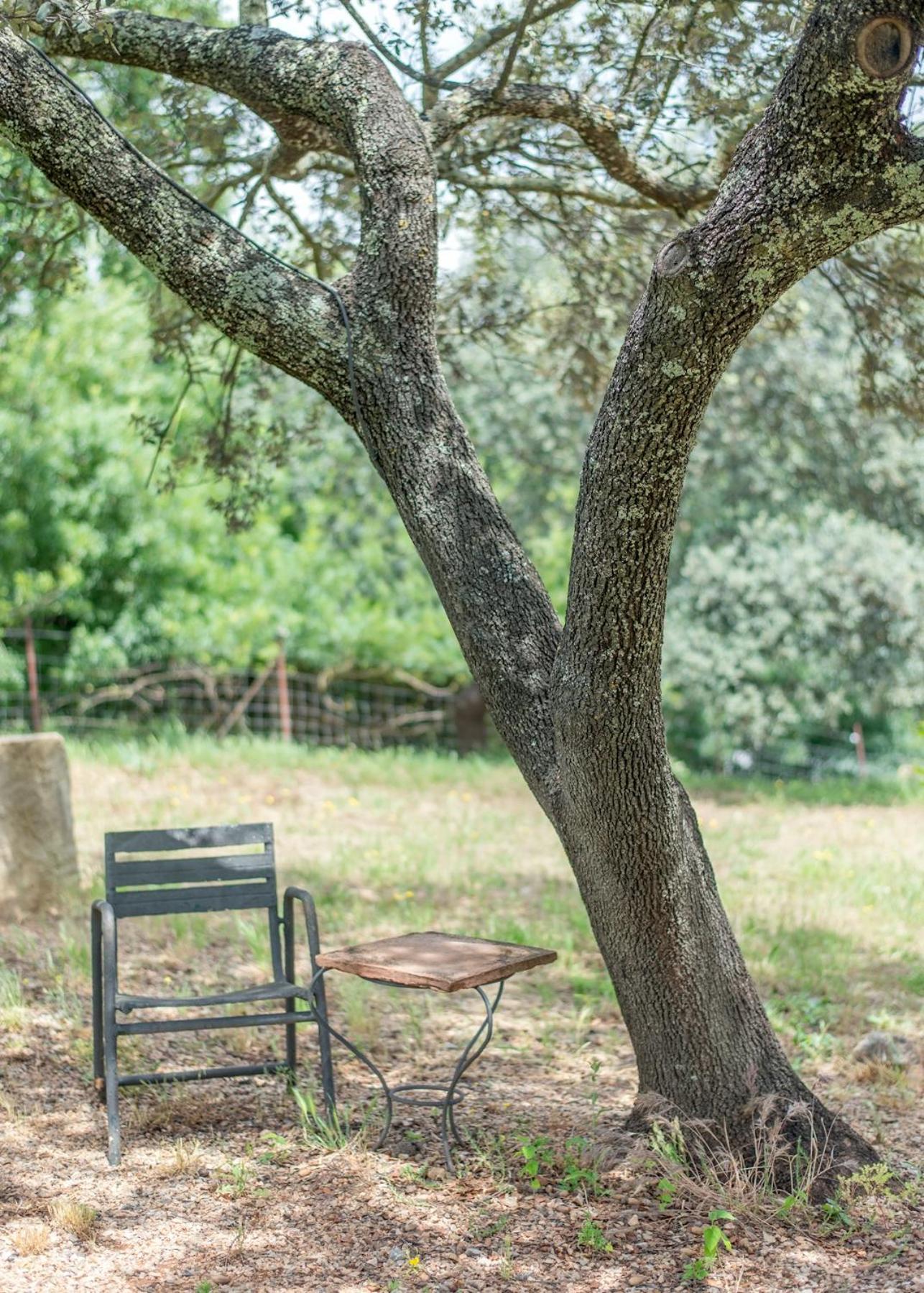La Umbria De La Ribera ξενώνας El Pedroso Εξωτερικό φωτογραφία