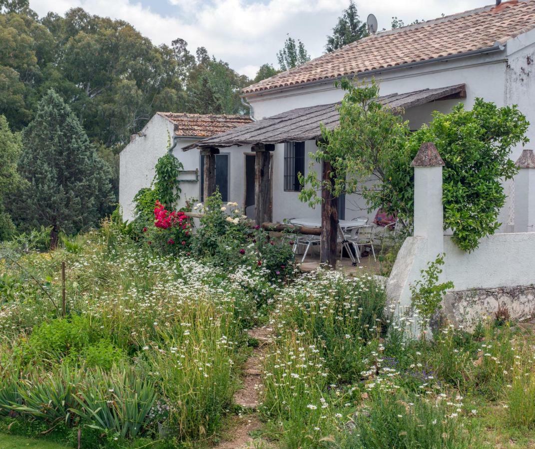 La Umbria De La Ribera ξενώνας El Pedroso Εξωτερικό φωτογραφία